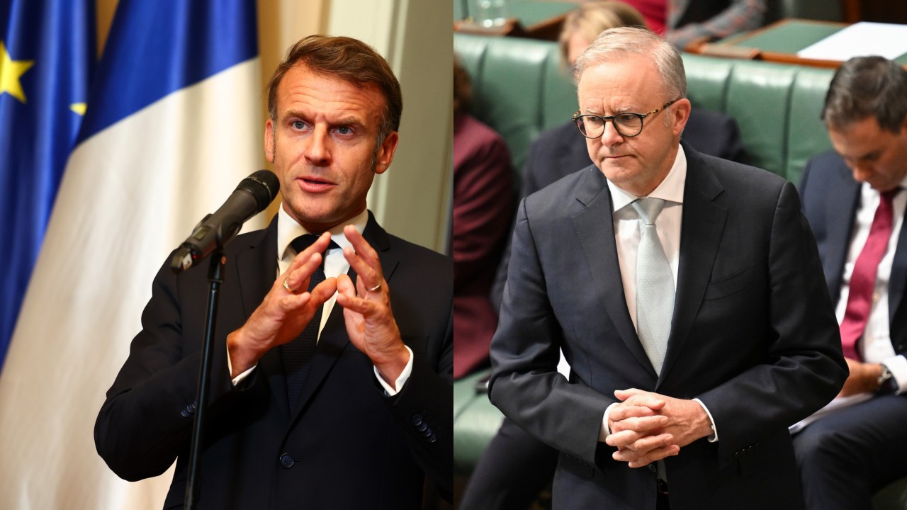 BelloBoy99's tweet card. Anthony Albanese has confirmed he will not back France’s move to recognise Palestine as a state, while accusing Israel of breaching international law after withholding aid from civilians in Gaza.