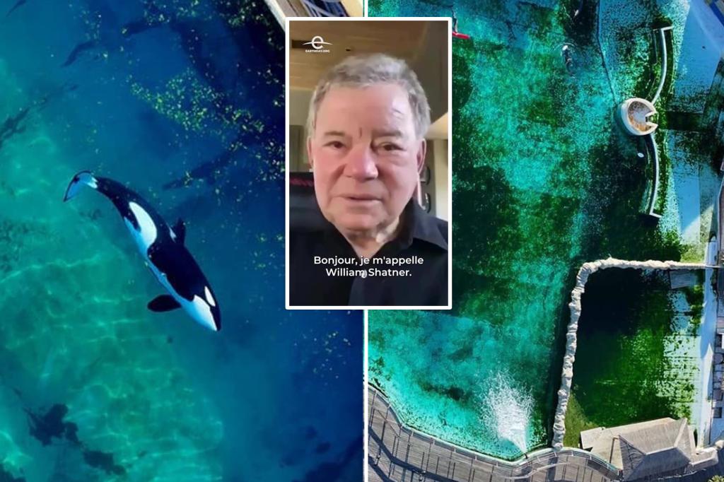EarthDay's tweet card. Footage released by animal activist groups show the orcas Wikie, 23, and her 11-year-old son Keijo swimming aimlessly around the abandoned park.