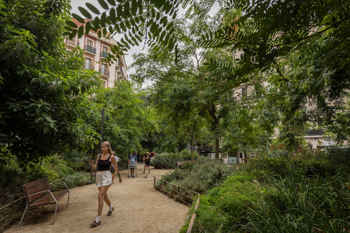 vicenteguallart's tweet card. Frente a las altas temperaturas, los expertos apuestan por reverdecer las ciudades con la regla 3-30-30, sustituir pavimento y asfalto por suelos porosos, usar los solares vacíos para plantar árboles...