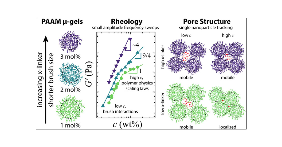 Dr_COB's tweet card. Concentrated packings of microgel particles behave like soft elastic solids, in which the macroscopic elastic properties arise from the interactions of the underlying particles. In order to utilize...