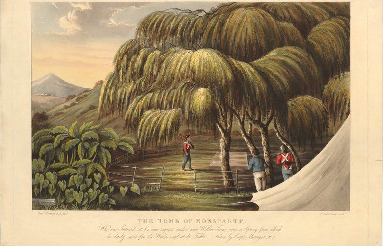 jasonbcooper's tweet card. The tree, believed to be a genetic clone of a willow near the French dictator's grave site, hasn’t given up even after 135 years, despite arduous conditions, vehicle exhaust and even once getting...