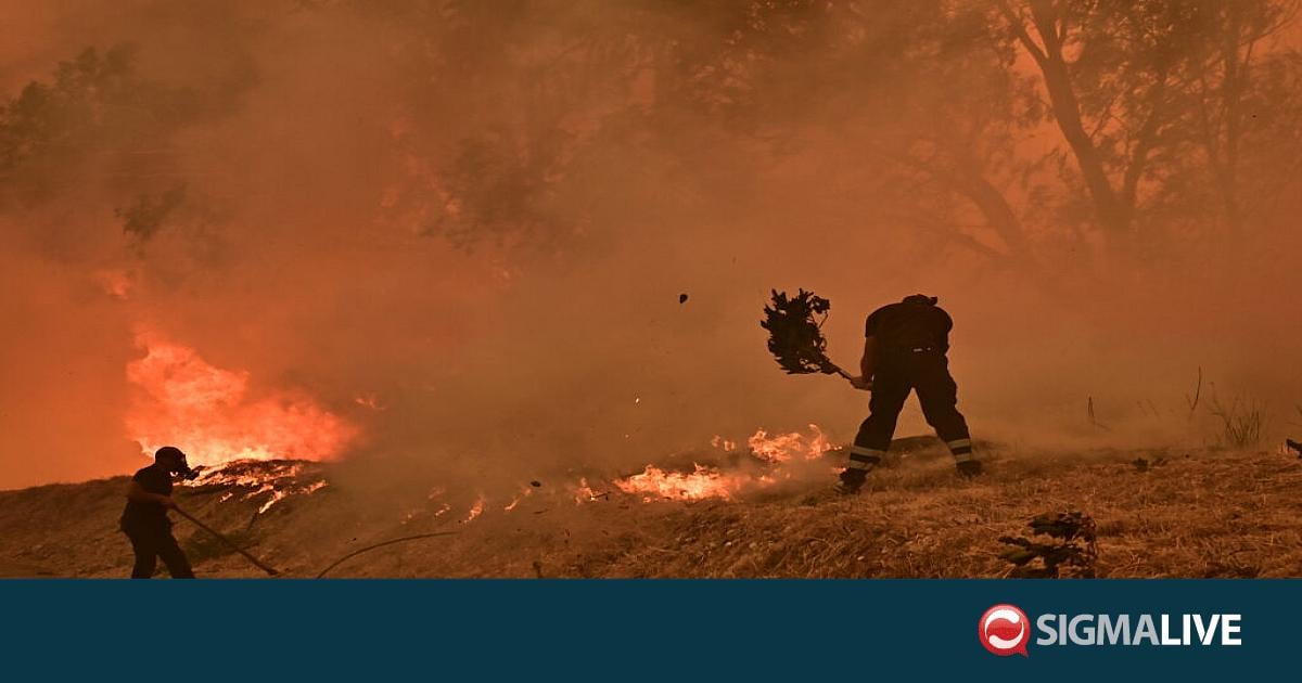 Sigmalivecom's tweet card. Καίγεται η Ελλάδα: Σε εξέλιξη οι φωτιές σε Εύβοια, Μεσσηνία, Κύθηρα, Κρήτη
