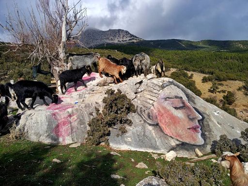 trt_espanol's tweet card. Creció en la montaña y mientras pastaba animales, dibujaba con piedras y carbón. Hoy, es una reconocida artista turca capaz de emplear rocas para retratar soldados o troncos para representar bebés.