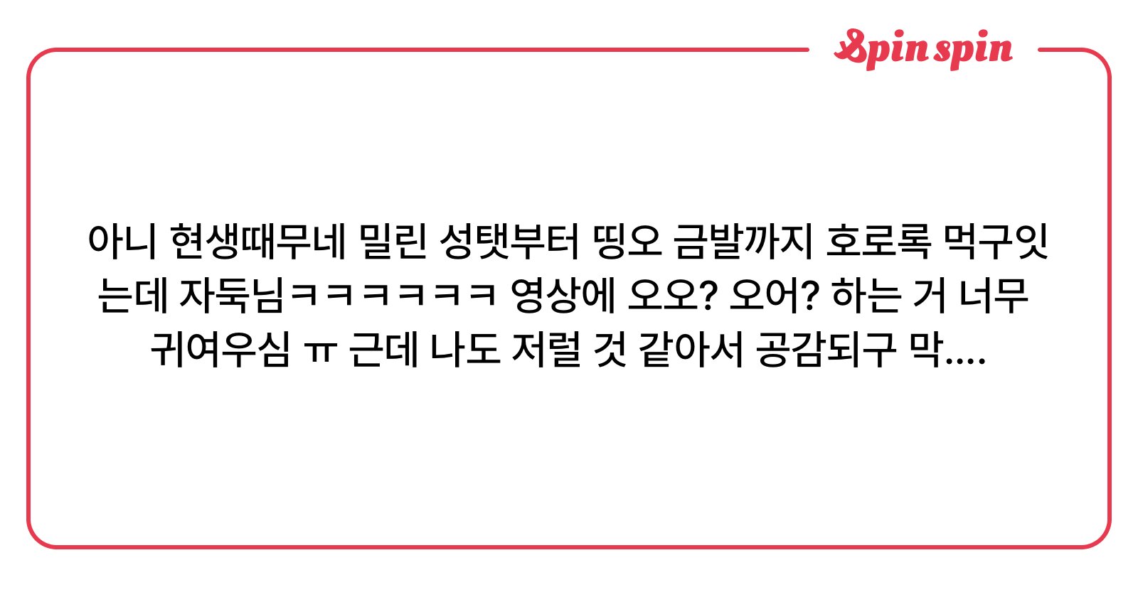 P0PIN2's tweet card. 껌치박스