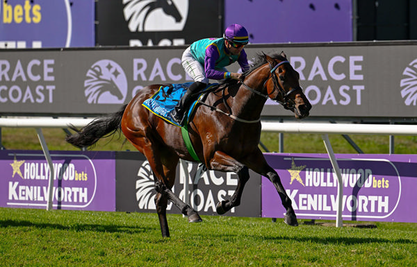 BreednetNews's tweet card. Making her debut as favourite in the Race Coast Maiden Juvenile Plate (1200m) at Kenilworth, South Africa on Saturday, 2yo Australian-bred Zoustar filly Wander Dune impressed with an emphatic victory.