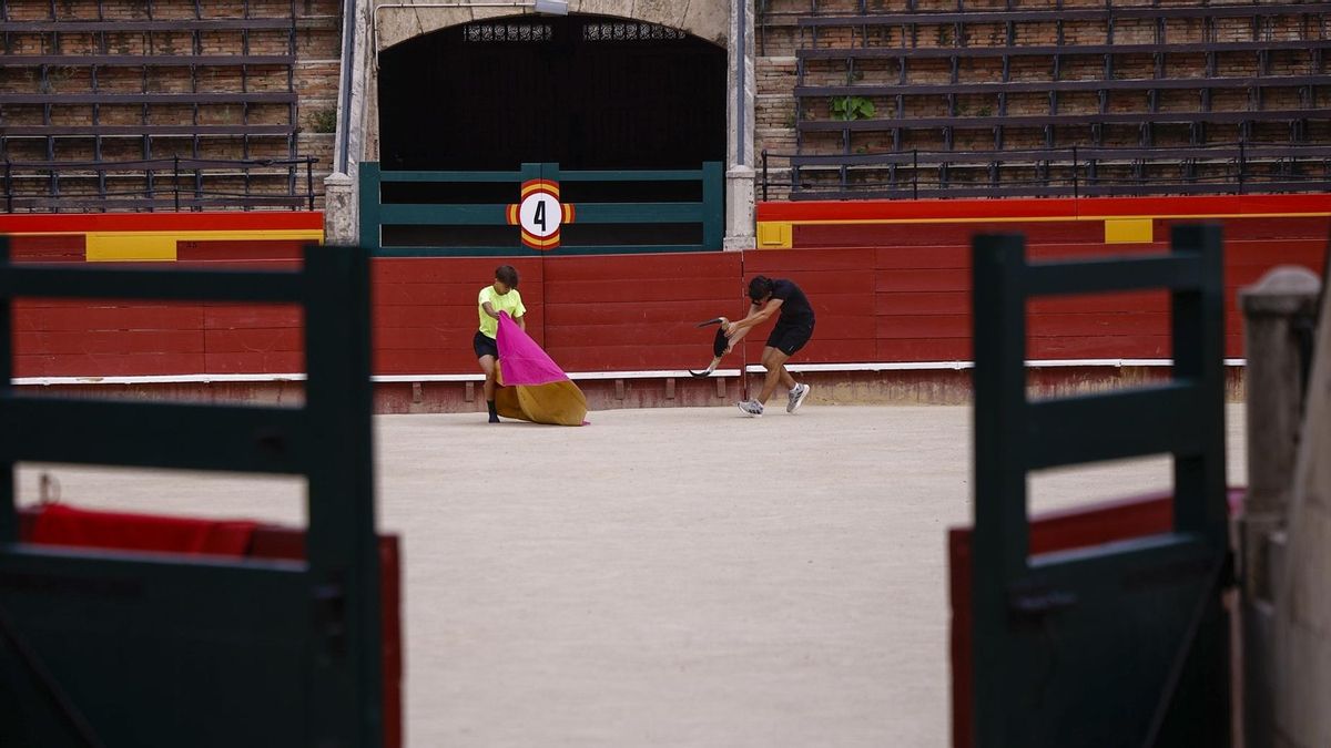 peteom's tweet card. Toreros, ganaderos y aficionados reflexionan sobre la ausencia de festejos en la plaza de toros de València, cerrada ocho meses por obras: 'Los responsables de la decisión no han calibrado su alcance'