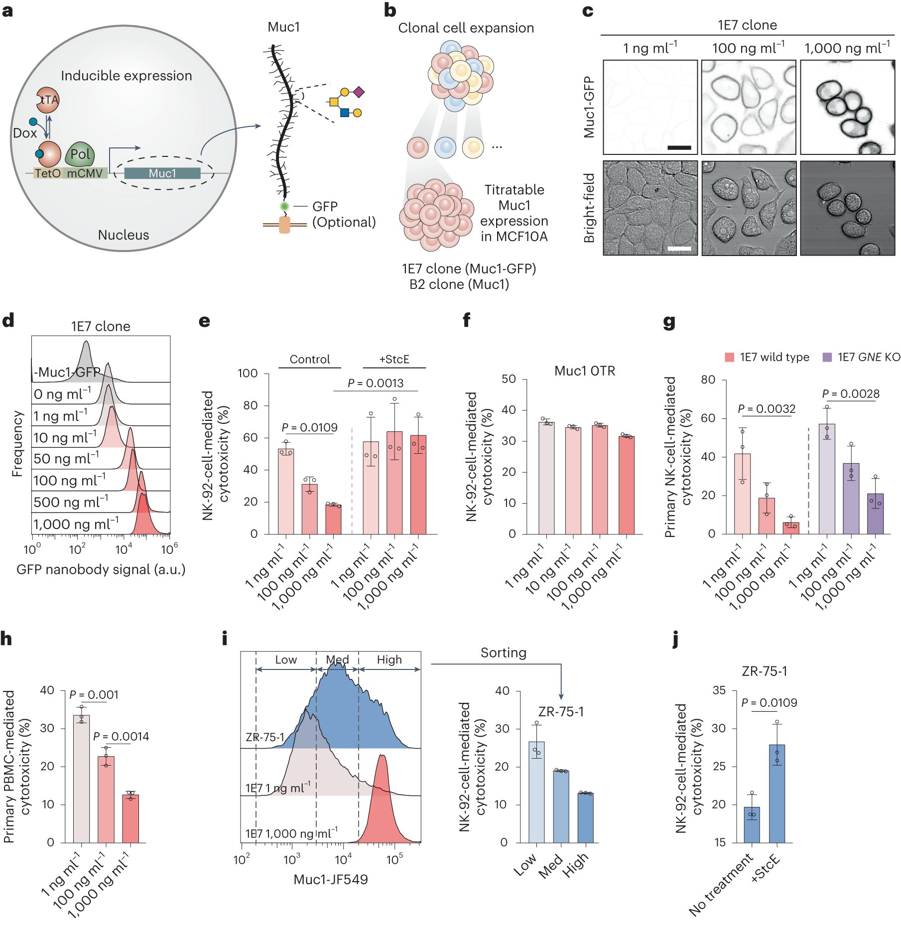 SangwooSPark's tweet card. Nature Materials - A nanoscale polymer layer formed by mucins at the surface of tumour cells protects them against immune cell attack. This shield can be circumvented through immune cell...