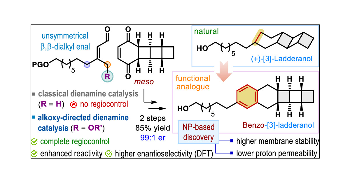 LabMukherjee's tweet card. Despite tremendous progress of dienamine catalysis along with its application in enantioselective synthesis over nearly two decades, certain limitations, especially with respect to the regioselecti...