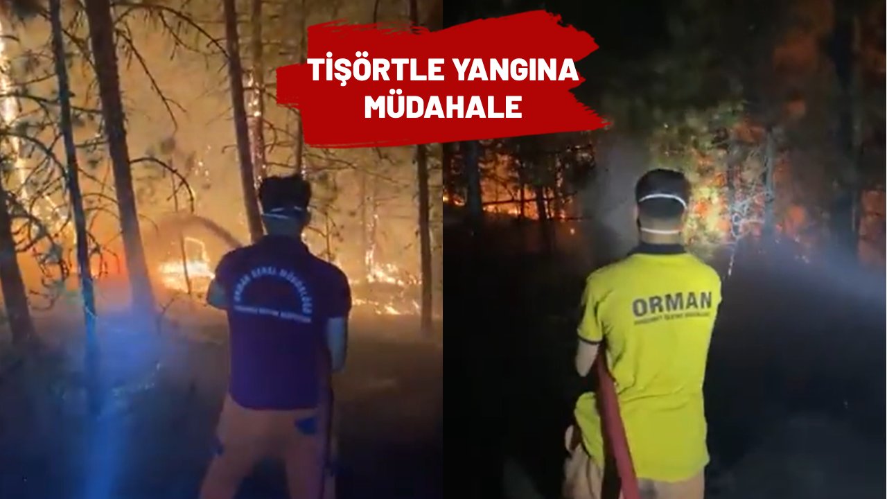 tele1comtr's tweet card. Tarım ve Orman Bakanlığı'nın Bursa'daki orman yangına müdahaleye ilişkin paylaştığı görüntüde personelin tişörtle alevlere müdahale etmesi tepki çekti.
