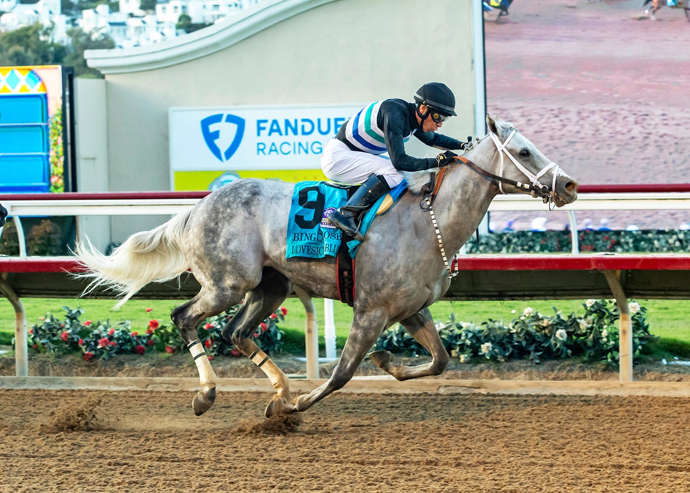 DailyRacingForm's tweet card. A veteran gelding with a new lease on life scored a come-from-behind upset in the Grade 1 Bing Crosby Stakes on Saturday at Del Mar, giving his trainer and breeder their first Grade 1 victories and...