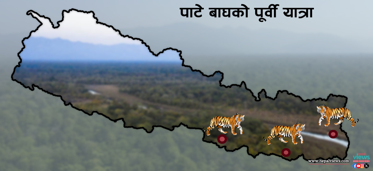 nepalviewsnv's tweet card. Nepal Views