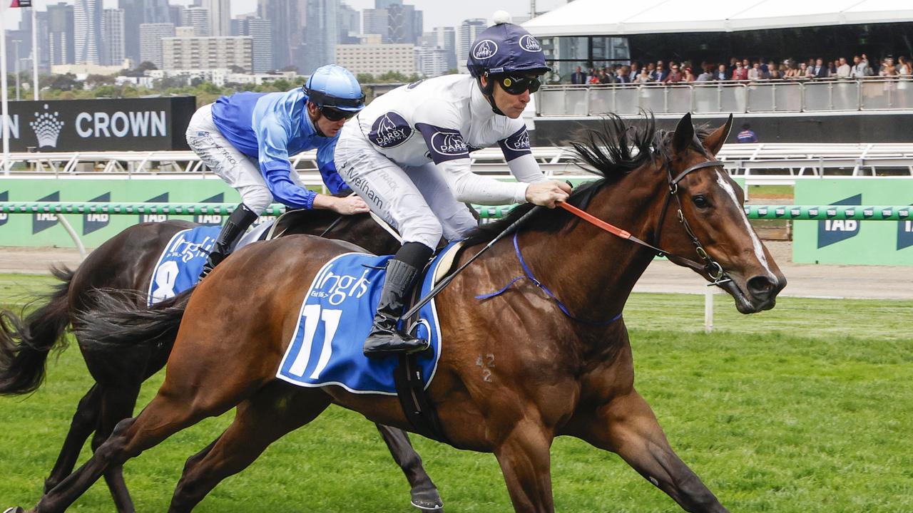 Punters's tweet card. It was a remarkable two-year-old season for Within The Law that could have ended in disaster - luckily she is still standing.