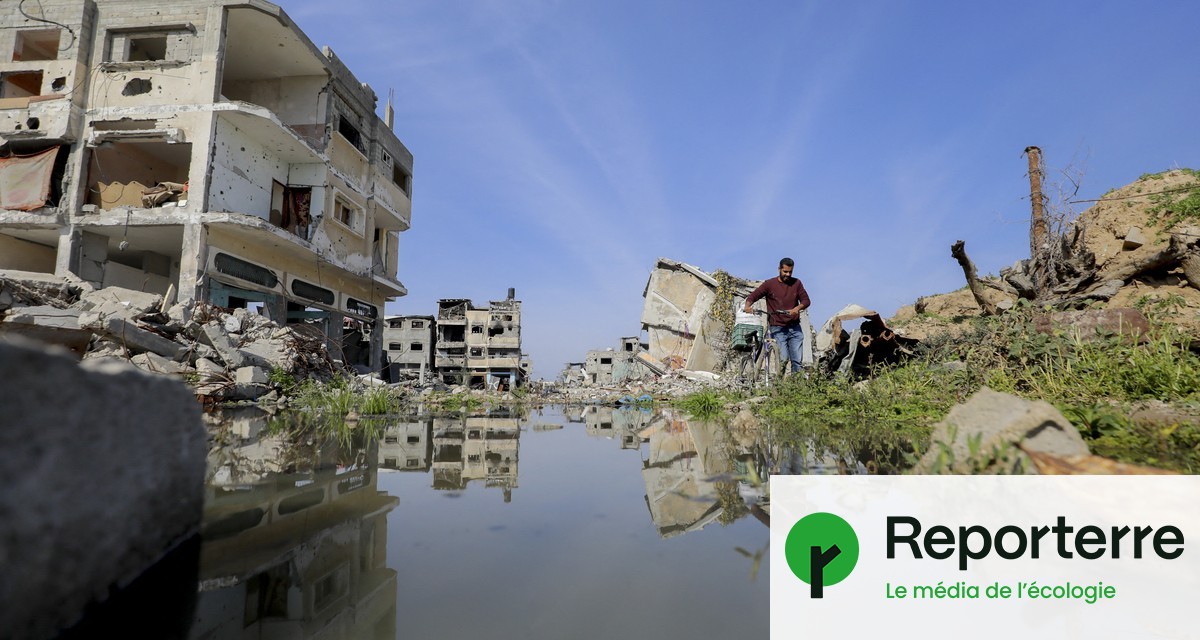 anr_imagin_e's tweet card. La bande de Gaza est confrontée à « un génocide, un écocide et un futuricide », dénonce l'historienne et politiste Stéphanie Latte Abdallah. Elle a dirigé l'ouvrage collectif « Gaza, une guerre...