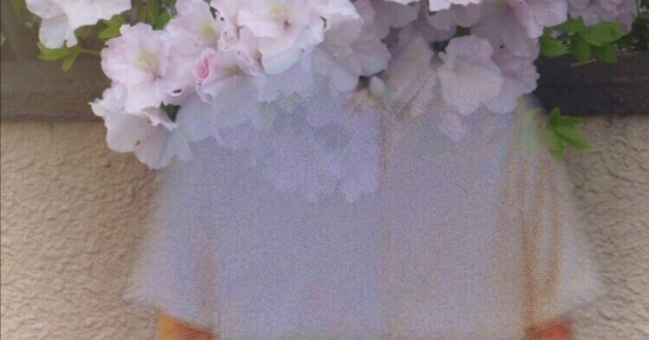 nBfAqldnuvdcd0O's tweet card. いつでも死ねる、この覚悟が私を長年支えてきた。 去年、「調子」というアカウント名でXに写真をあげ始めた頃、精神はかつて経験したことがないほど不安定だった。首の皮一枚でつながっている、という表現がしっくりくる。 皮肉なことに、死と葛藤しながら撮られた写真は綺麗だった。 みなさんが褒めてくれたあの景色たちは、この世から消え去る寸前の人間が、リスカするようにして切り取った世界だ。毎日空っぽになるま...