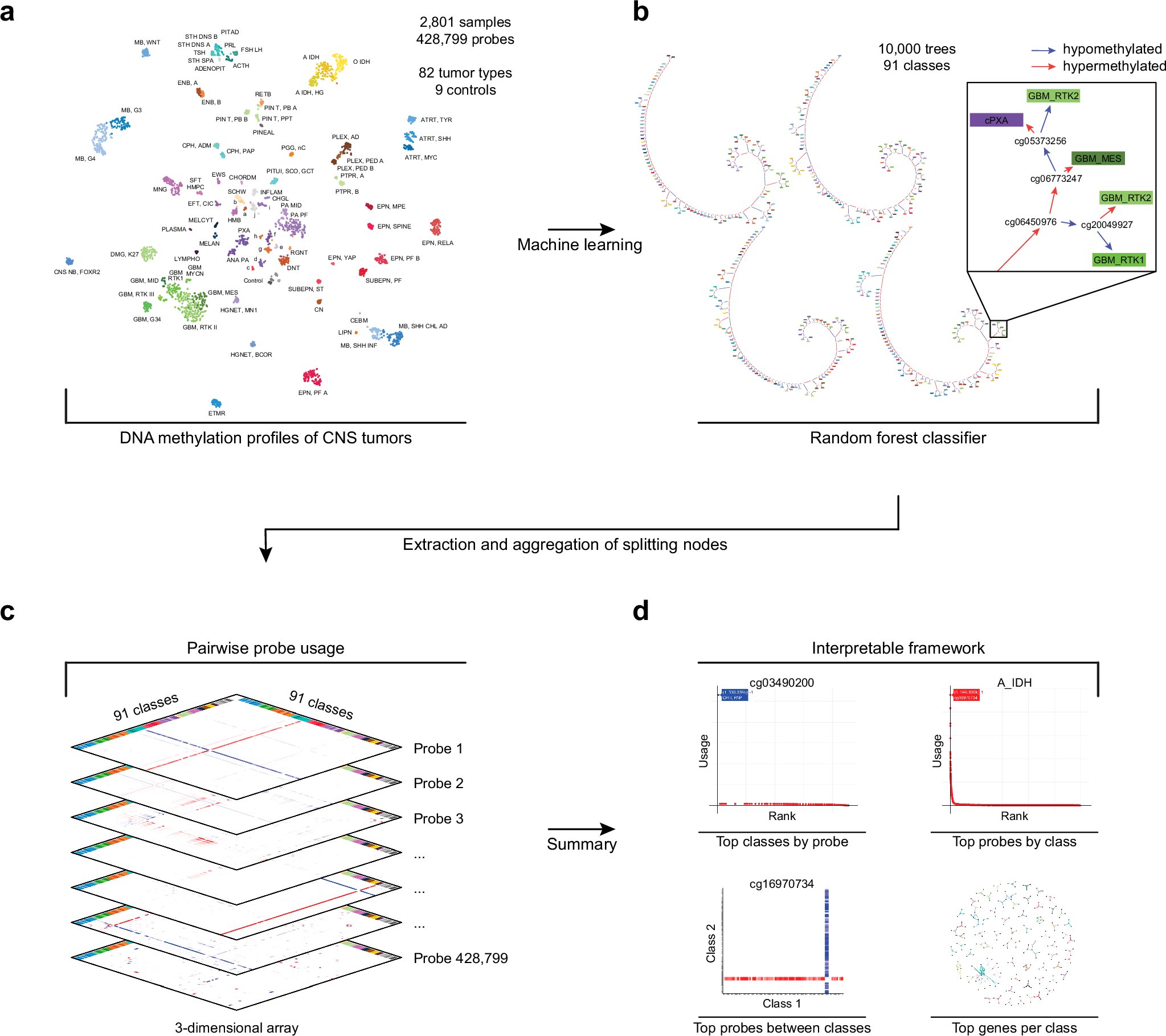 KeithLigon5's tweet card. Nature Communications - AI-guided epigenetic classification is integral for accurate brain tumour diagnosis. Here, the authors introduce an interpretable framework to explain the AI process,...