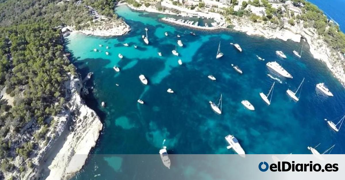 MulleresSalgada's tweet card. Un nuevo informe de Greenpeace alerta de que la mitad de la superficie de las playas españolas —incluidas las de la costa balear— podría desaparecer en tan solo 25 años. "El cambio climático produce...