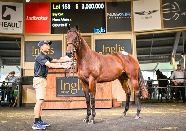 BreednetNews's tweet card. Entries for the 2026 Inglis Select Yearling Sales Series – which will be headlined by the presence of the highly anticipated Snitzel x Winx colt at the Easter Sale – are now open.