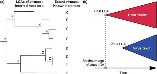 chuanku_'s tweet card. Abstract. Viruses are widespread parasites with important impacts on public health, economy, and ecosystems. However, little is known about their origins,