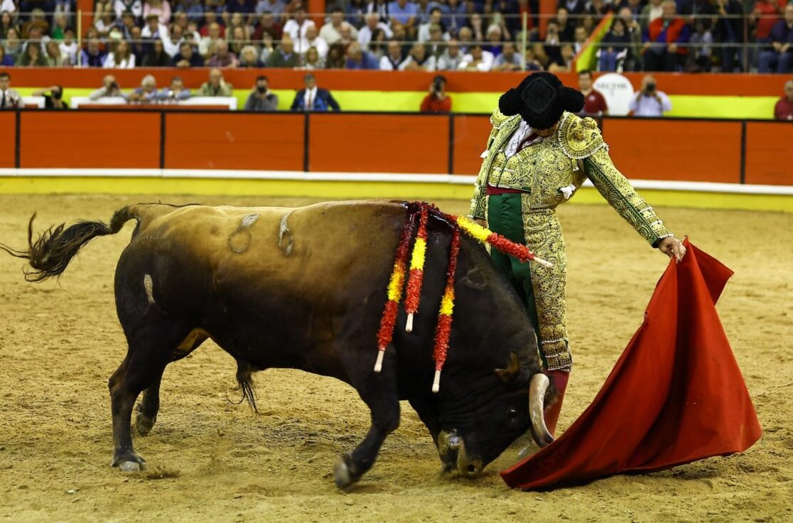aplausos's tweet card. El sevillano cuaja en Nazaré el natural más interminable, hondo y templado que se recuerda.