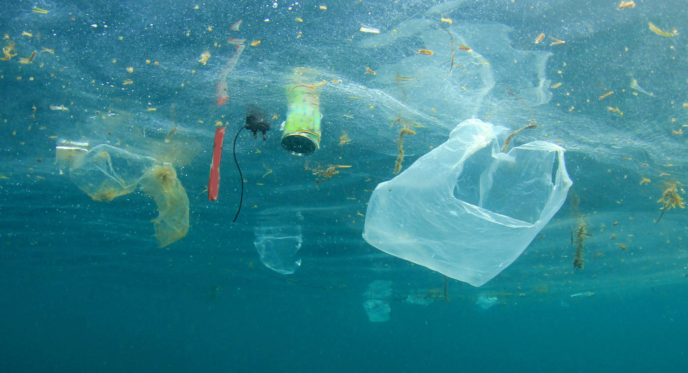 EIA_News's tweet card. Marine plastic pollution is one of the most serious emerging threats to the health of oceans and a major hazard to marine biodiversity. We campaign both alone and in partnerships against single-use...