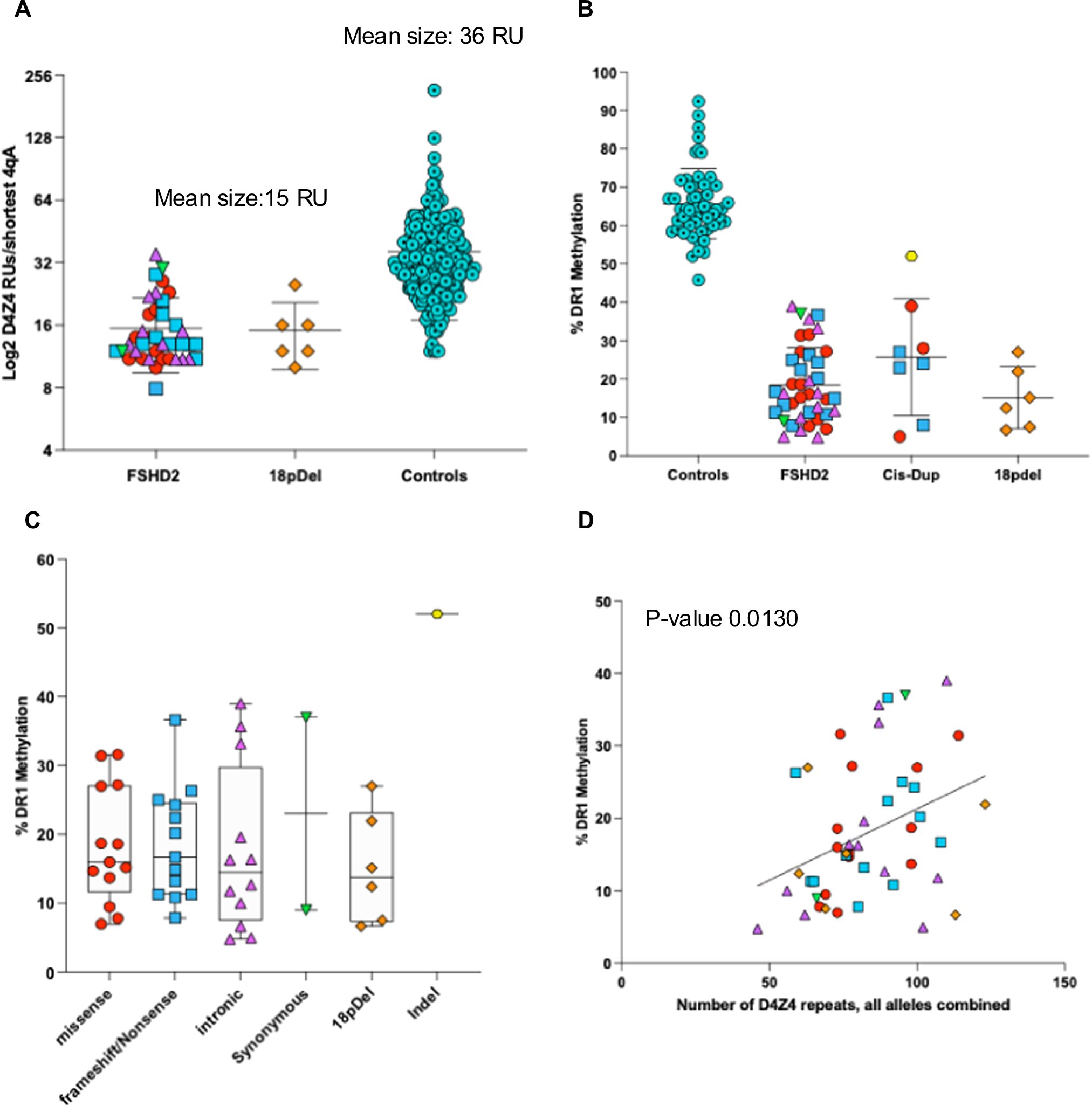 ejhg_journal's tweet card. European Journal of Human Genetics - SMCHD1 genetic variants in type 2 facioscapulohumeral dystrophy and challenges in predicting pathogenicity and disease penetrance