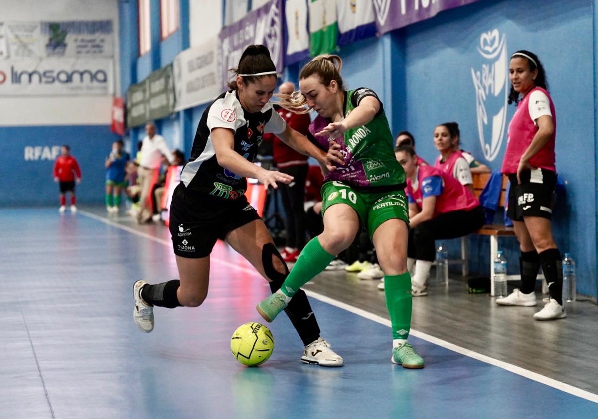 SURDeporte's tweet card. El equipo malagueño, que disputará su tercera temporada consecutiva en Primera, acaba de cerrar su nueva plantilla con muchos cambios