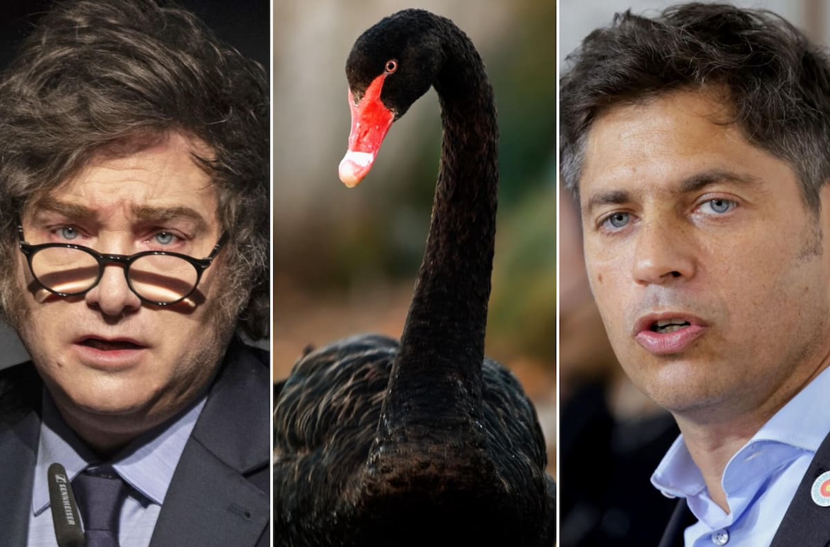 GuillermoLipera's tweet card. El gobernador ya prepara un think tank para su propuesta presidencial; las elecciones de septiembre se viven como la plataforma de largada y ambos economistas tienen una historia antagónica que se...