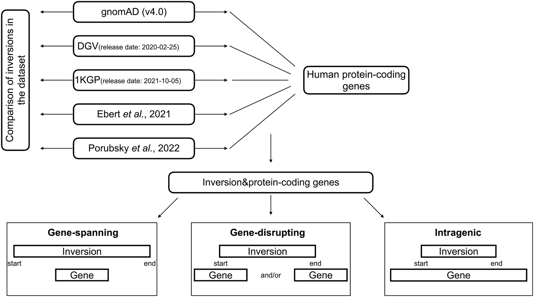 ejhg_journal's tweet card. European Journal of Human Genetics - Investigation of a pathogenic inversion in UNC13D and comprehensive analysis of chromosomal inversions across diverse datasets