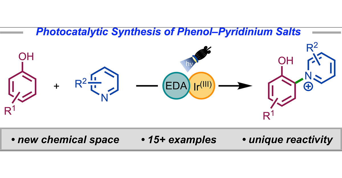 mccarson23's tweet card. Herein, we describe a dual photocatalytic system to synthesize phenol–pyridinium salts using visible light. Utilizing both electron donor–acceptor (EDA) complex and iridium(III) photocatalytic...