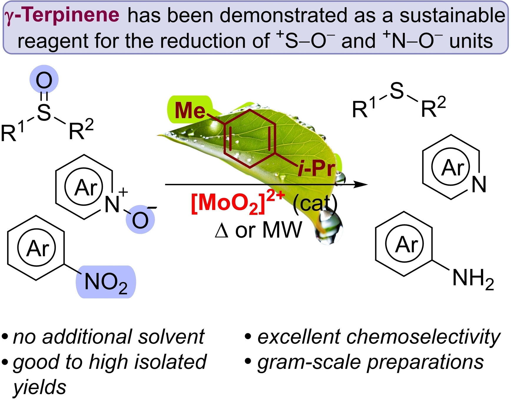 AdvSynthCatal's tweet card. A molybdenum-catalyzed deoxygenation of sulfoxides, pyridine and quinoline N-oxides, N-hydroxybenzotriazoles, as well as the reduction of nitroarenes to anilines, has been developed using monocyclic...