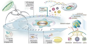 thesgconline's tweet card. Target 2035 is a global initiative that seeks to identify a pharmacological modulator of most human proteins by the year 2035. As part of an ongoing series of annual updates of this initiative, we...