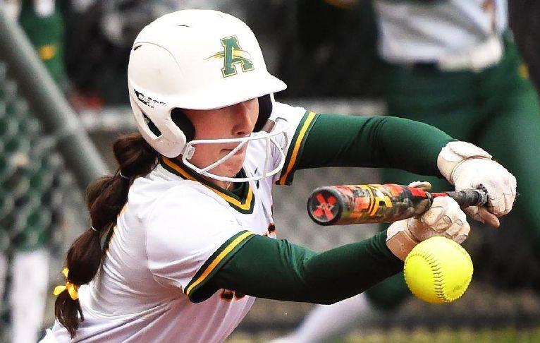 SteeleSoftball's tweet card. AVON — Nine was just fine for Amherst on Friday.