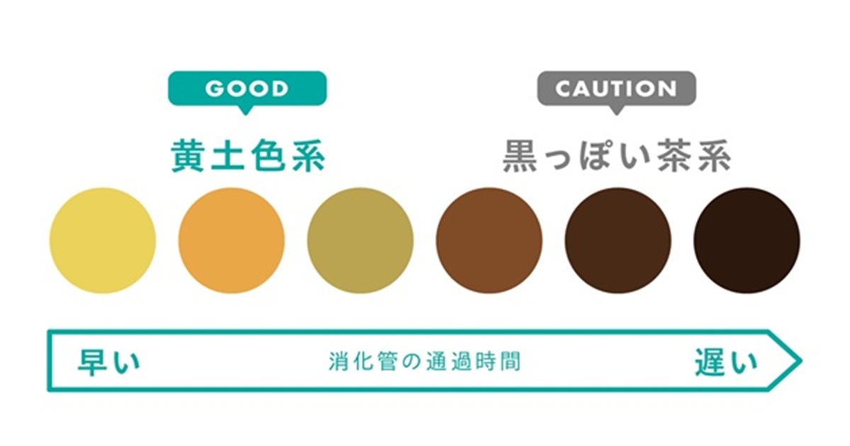 anan_mag's tweet card. 日々の腸活の成果を、こまめに教えてくれるウンチ。食べたものがちゃんと吸収されたのか、自分に合った食べ物だったかなどをチェックできるのはもちろん、体調やストレスの状態も教えてくれるバロメーターに。点検方法を教えてくれたのは、腸活プロデューサー…