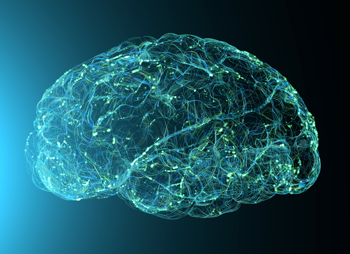 PresNCM's tweet card. Several recent studies from Feinberg investigators and colleagues have shed light on complex neurological processes and provided new insights and technological developments for neural prostheses.