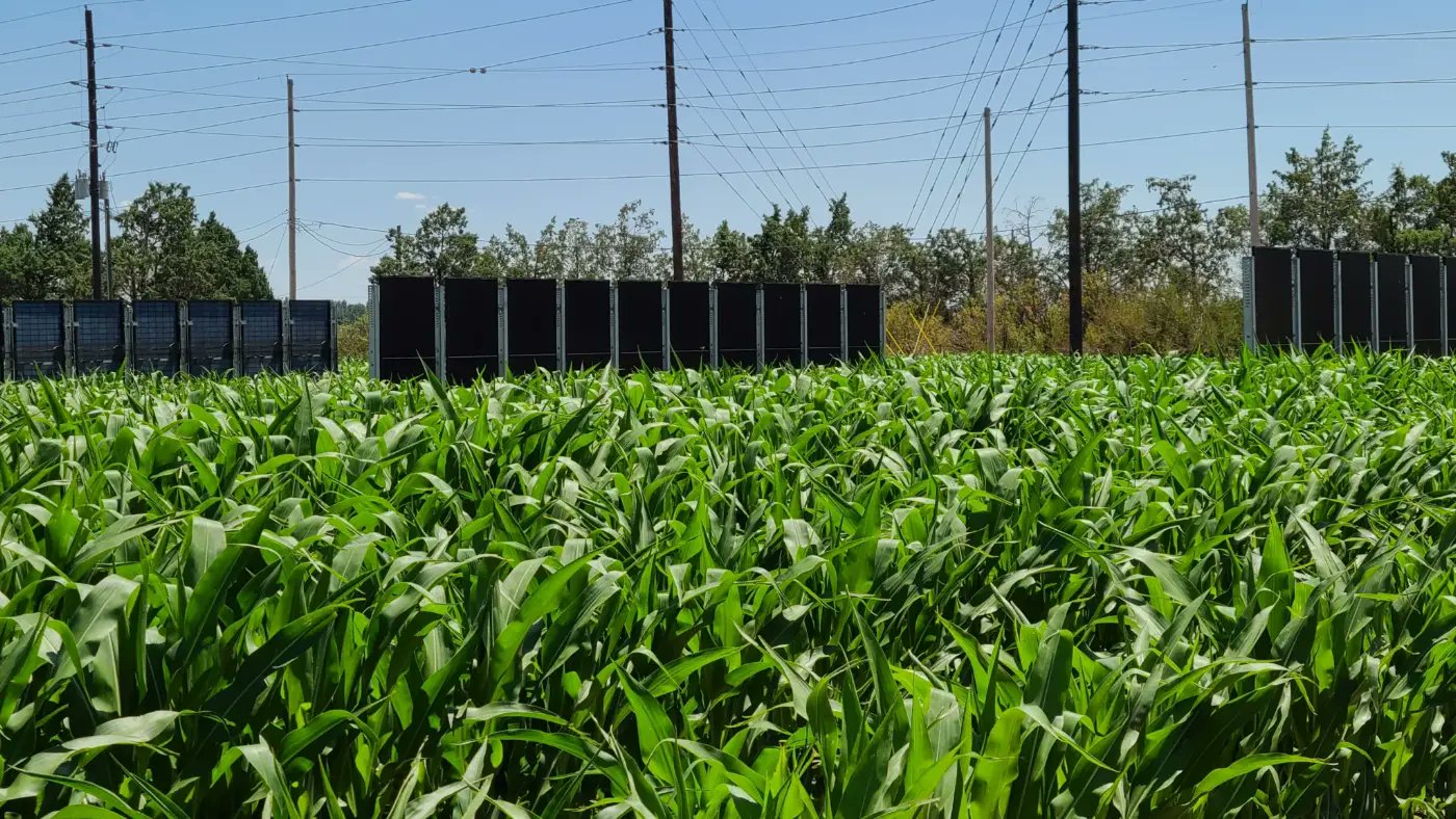 sandboxsolar's tweet card. Agrivoltaic projects experience land use issues, the solar array must occupy minimal land, and allow crops to grow underneath. Sandbox Solar has a solution.