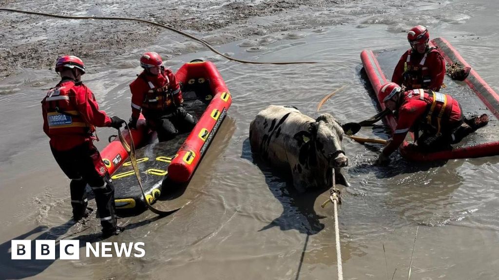 BBCNWT's tweet card. They include cows stuck in quicksand, rent rises in a tourist hotspot and a record breaker's return.