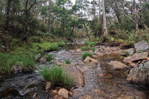 TAKosch's tweet card. The Amphibian Genomics Consortium (AGC) is an international initiative that strives to bring together people with an interest in using genomic tools to better understand amphibian ecology, evolution,...