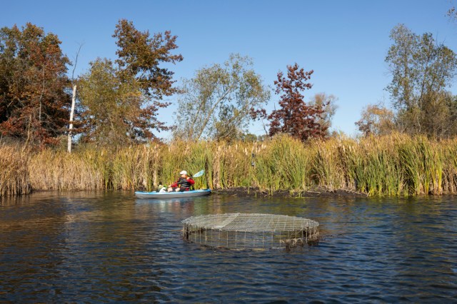 BennetGoldstein's tweet card. Beavers can cause property damage, but research shows they positively impact the environment. Some landowners are ditching traps and dynamite to peacefully manage the nuisance.