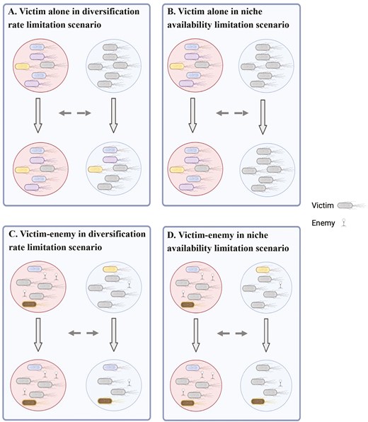 EvolLetters's tweet card. Abstract. Dispersal between heterogenous habitats is a major determinant of population diversification, and may often introduce new morphotypes in habitats