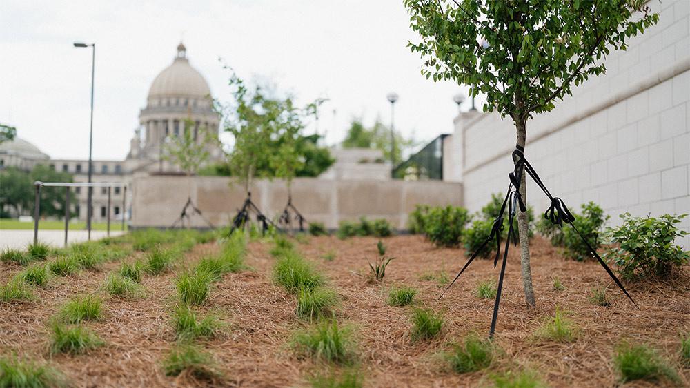 MSU_AG's tweet card. MSU landscape design, community partners commemorate fallen officers as Memorial Day approaches