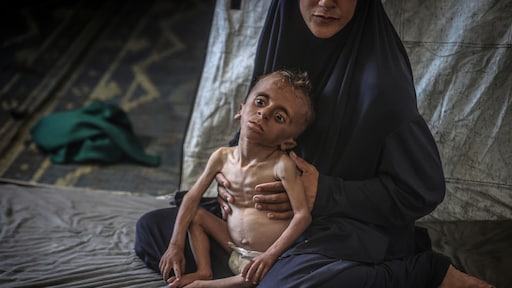 PMLtenZijthoff's tweet card. De berichten over de toenemende hongersnood in Gaza baren deskundigen grote zorgen. "Er is niemand meer in Gaza die niet extreem acuut hulp nodig heeft", zegt Wouter Booij van Unicef. Intussen is...