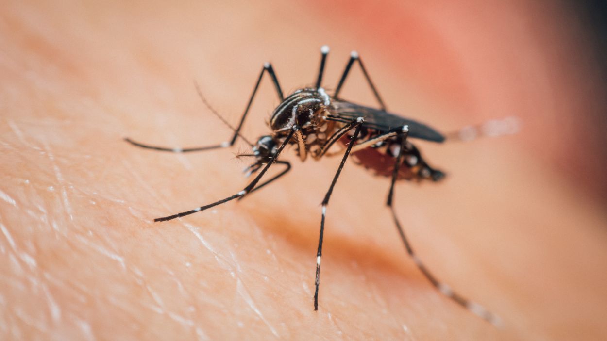 NCTV17's tweet card. The DCHD says a Glen Ellyn resident contracted the first human case of West Nile Virus reported in the county this year.