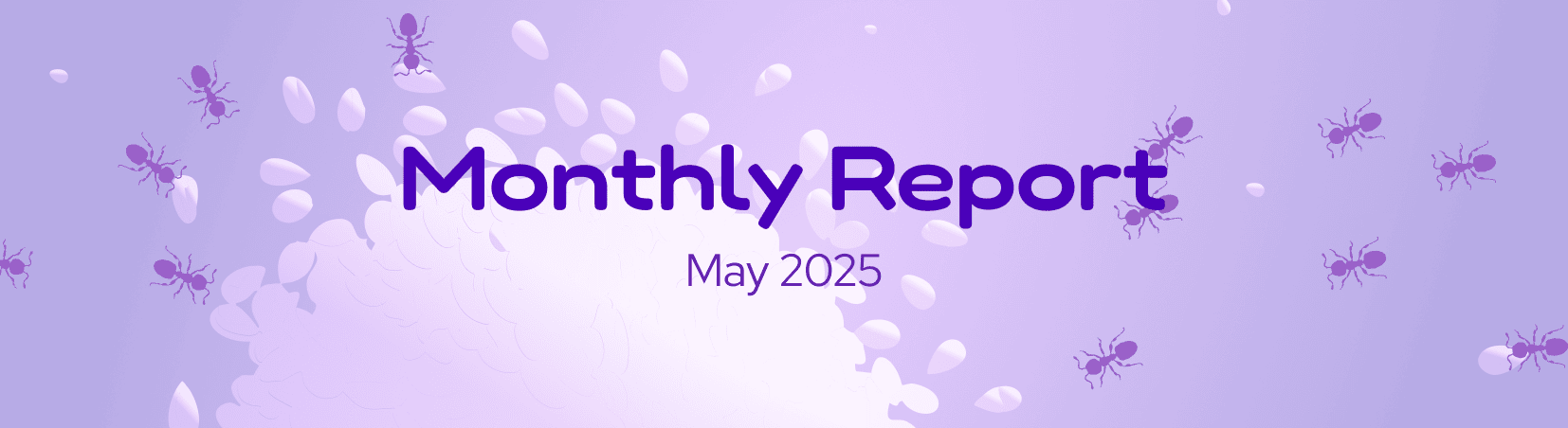 DeFiCollective_'s tweet card. Monthly report for the treasury-related activities of the Collective in May.
