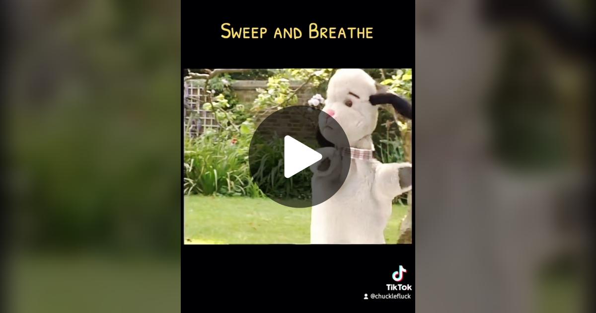 aohereng's tweet card. 6592 likes, 173 comments. “Sweep is an unofficial member of @The Prodigy He's got the moves #nostalgia #sweep #breathe #theprodigy #music #fyp @grakle”
