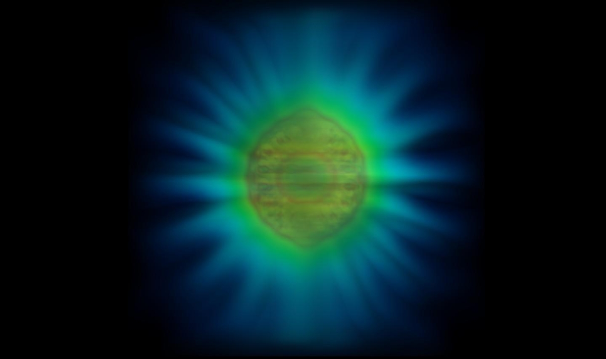 wissensperlen's tweet card. Ein Team von Forscher:innen der englischen Universität von Birmingham freut sich über ein völliges Novum auf dem Gebiet der Physik. Ihnen sei es gelungen, die Form eines einzelnen Photons zu visual...