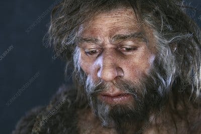 read_Imperivm's tweet card. Documental: Neandertal (2001) Los neandertales son una especie extinta o subespecie del género Homo, que está estrechamente relacionado con