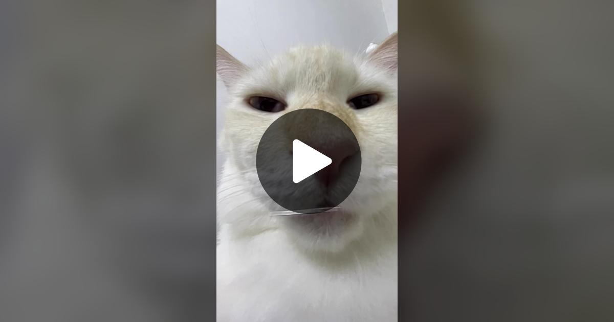 Reemarshub's tweet card. Check out CrazyCatLady’s video.