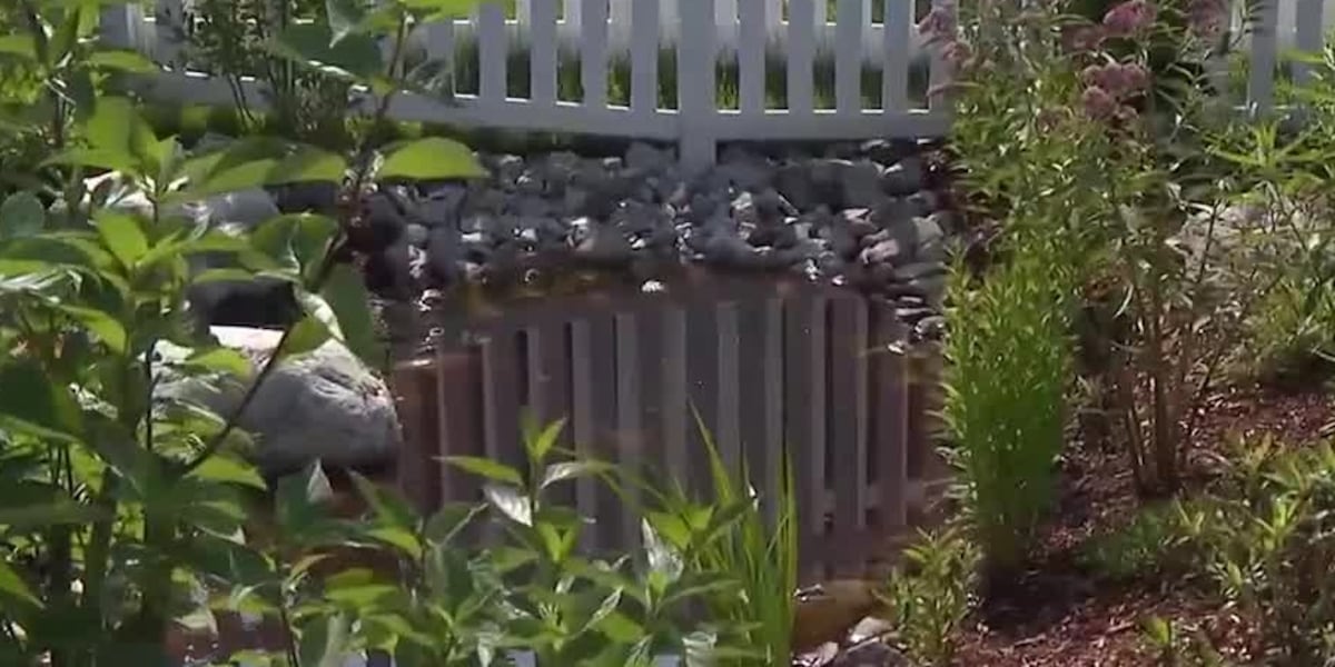 wcax's tweet card. Fitting a lot of garden in a small space can be tricky. Garden expert Charlie Nardozzi and our Sharon Meyer show you some inspiration in this "In the Garden."