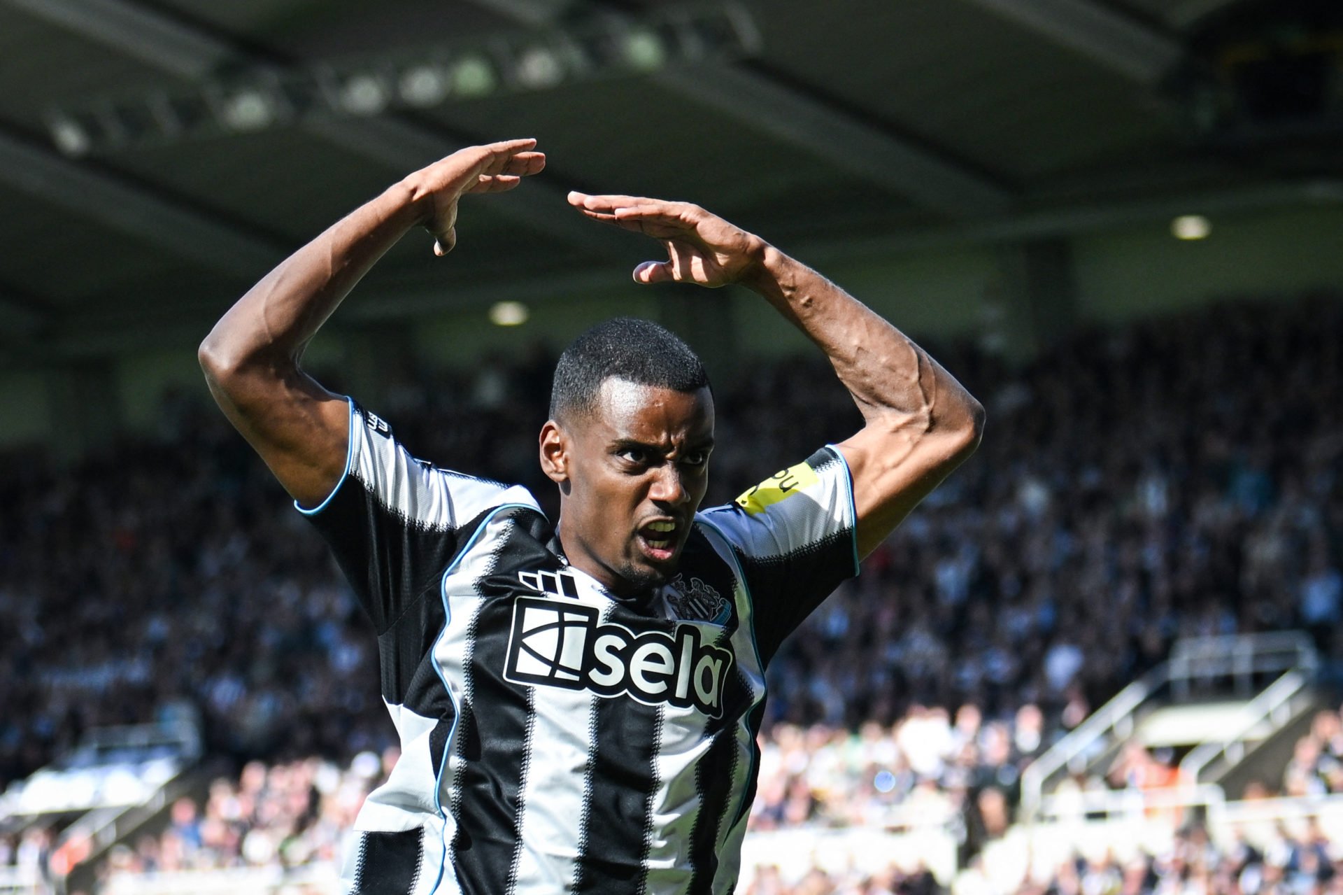 FreddieDorman's tweet card. Monday's transfer round-up ahead of a BUSY week! 🤩