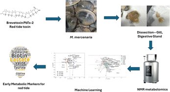MolecularOmics's tweet card. Brevetoxins are a type of neurotoxin produced in red tide blooms. Northern quahogs (M. mercenaria) are extensively used in commercial aquaculture farming, and early-stage metabolomics studies can...